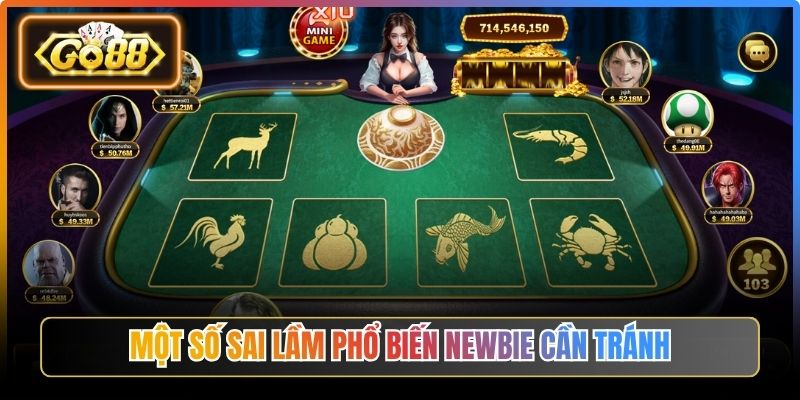 Một số sai lầm phổ biến newbie cần tránh