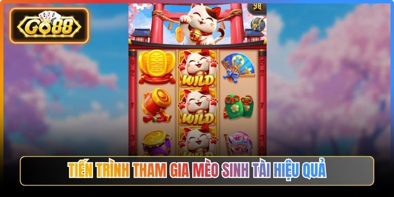 Tiến trình tham gia mèo sinh tài hiệu quả