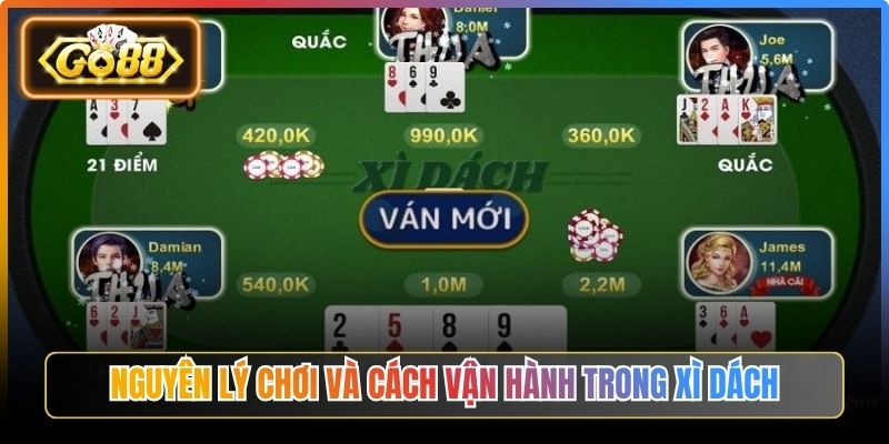 Nguyên lý chơi và cách vận hành trong xì dách